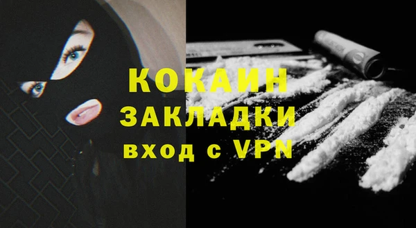 прущие грибы Инсар