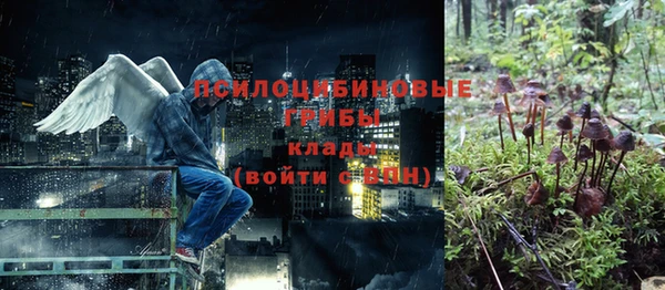 СК Ессентукская