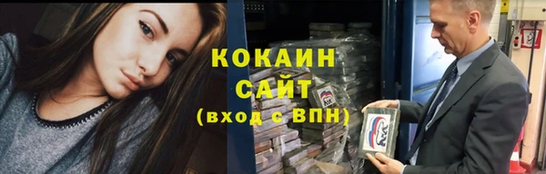 прущие грибы Инсар