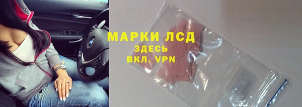 прущие грибы Инсар