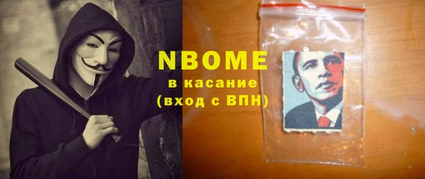 прущие грибы Инсар
