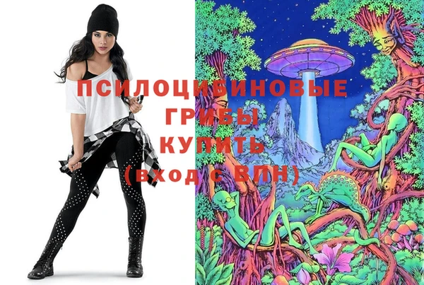 крисы Касимов