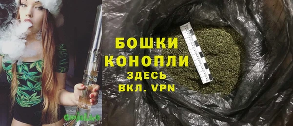 крисы Касимов