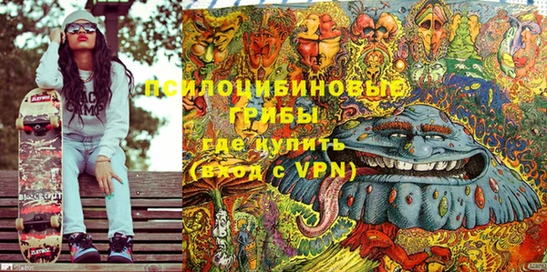 прущий лед Инта