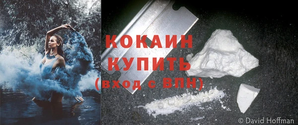 прущие грибы Инсар