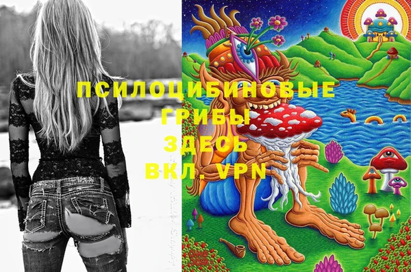 mdpv Иннополис