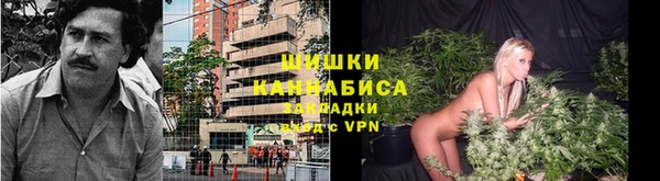 mdpv Иннополис