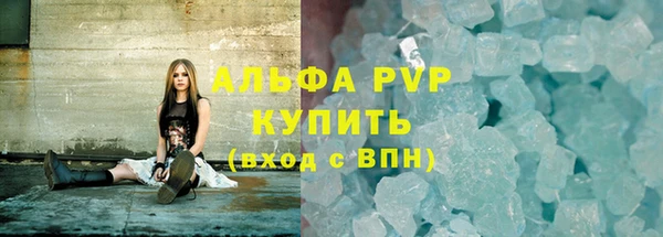 прущие грибы Инсар