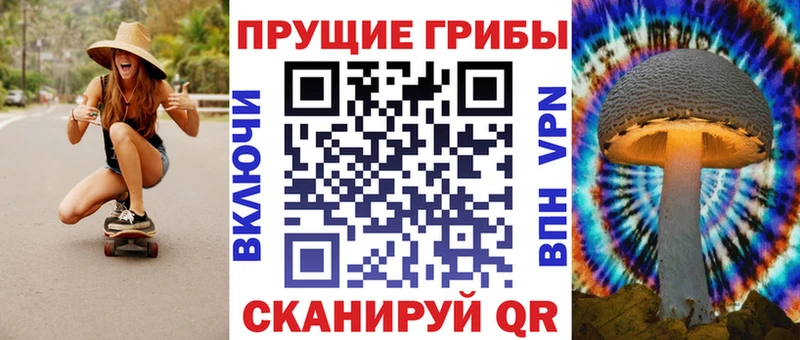 Галлюциногенные грибы GOLDEN TEACHER  нарко площадка официальный сайт  Рыльск  OMG как войти 